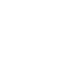 VIVORA
